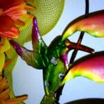 HUMMINGBIRD ON BIRD OF PARADISE PLANT